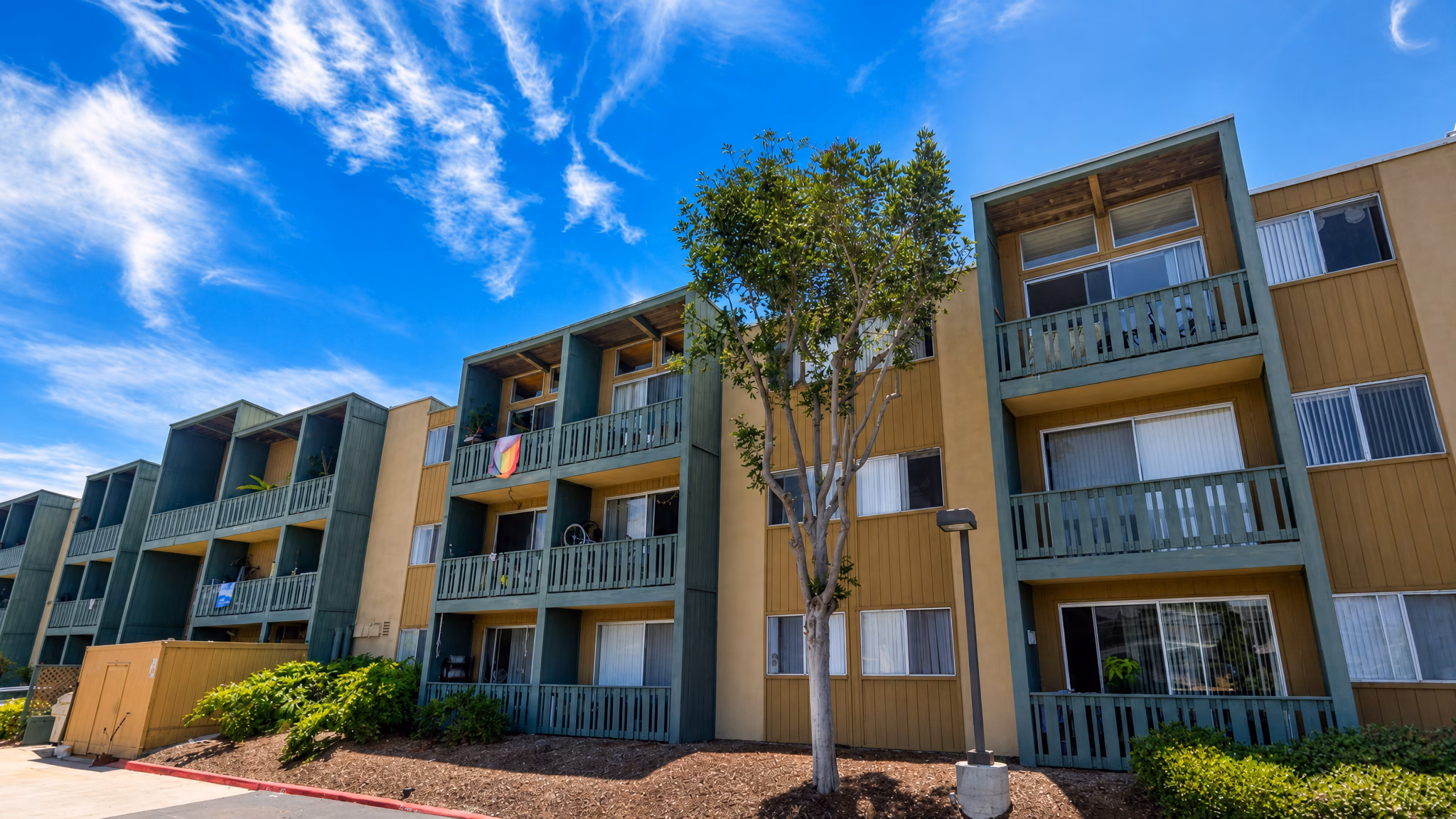 Cedar Shores