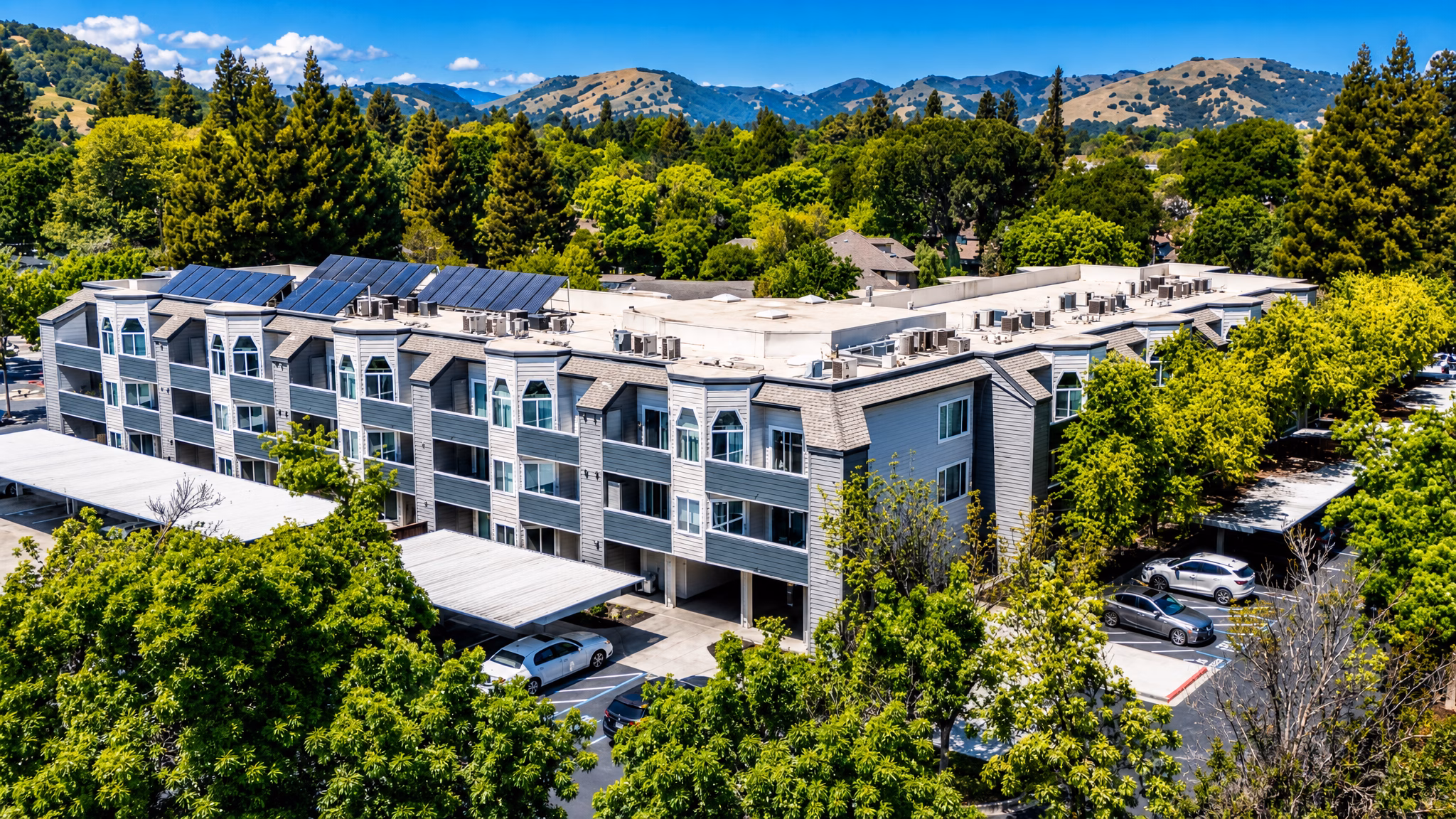 Bridgecreek Apartments